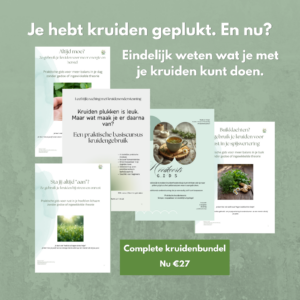BUNDEL Geen idee waar je moet beginnen? Dit is alles wat je nodig hebt
