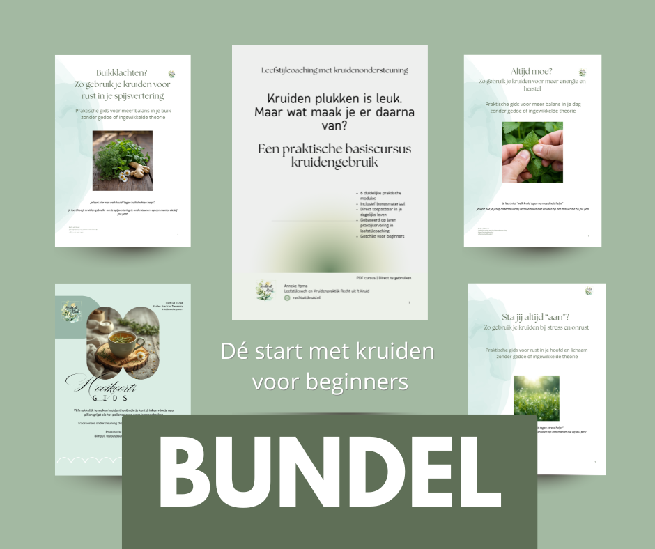 Bundel werken met kruiden recht uit 't kruid anneke ypma
